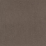 Marquee FR Velvet - Silver Oak - RM Coco - Fabric by the Yard