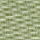 Aruba - Frosted Jade - RM Coco - Fabric by the Yard