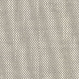 Aruba - Fog - RM Coco - Fabric by the Yard