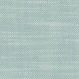 Aruba - Tidal Pool - RM Coco - Fabric by the Yard