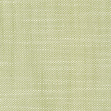 Aruba - Spring Green - RM Coco - Fabric by the Yard