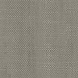 Aruba - Titanium - RM Coco - Fabric by the Yard