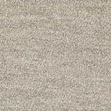 Snuggle Performance Boucle - Platinum - RM Coco - Fabric by the Yard