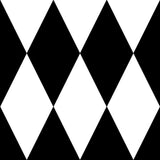 ColorWorks DL112 - B&W - RM Coco - Fabric by the Yard