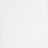 Elusive Cotton Tussah - Talc - RM Coco - Fabric by the Yard