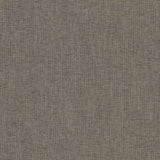 Bimini - Thatch - RM Coco - Fabric by the Yard