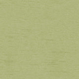 Keepsakes - Lizzard - RM Coco - Fabric by the Yard