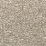 Galactic FR Blackout - Latte - RM Coco - Fabric by the Yard