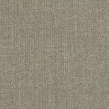 Finesse Multi-Purpose Texture - Silver Sage - RM Coco - Fabric by the Yard