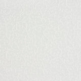 Charlotte - 20630-02 - Fabric by the Yard