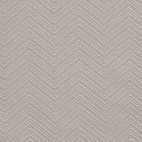 Charlotte - 20660-07 - Fabric by the Yard