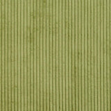 Charlotte - 20700-01 - Fabric by the Yard