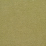 Charlotte - 20900-03 - Fabric by the Yard