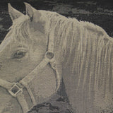 Mister Ed - Black - DV Kap - Fabric by the Yard