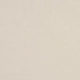 Charlotte - 2922 - Eggshell - Fabric by the Yard