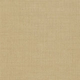 Charlotte - 31000-20 - Fabric by the Yard