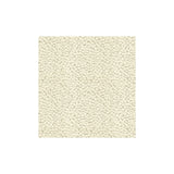 KRAVET COUTURE - POLKA DOT PLUSH- NATURAL - Fabric by the Yard