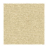 KRAVET CONTRACT - KRAVET CONTRACT- 33876-1116 - Fabric by the Yard