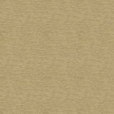 KRAVET CONTRACT - KRAVET CONTRACT- 33876-1616 - Fabric by the Yard
