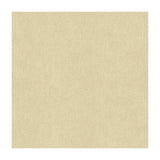 KRAVET COUTURE - KRAVET COUTURE- 34074-111 - Fabric by the Yard