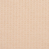Charlotte - 3472 - Opal - Fabric by the Yard