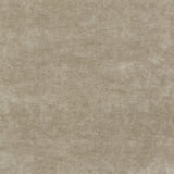 KRAVET COUTURE - QUEEN'S VELVET- PARCHMENT - Fabric by the Yard
