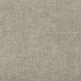 KRAVET COUTURE - KRAVET COUTURE- 34808-11 - Fabric by the Yard