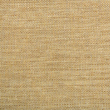 KRAVET CONTRACT - KRAVET CONTRACT- 34926-414 - Fabric by the Yard