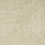 KRAVET DESIGN - KRAVET DESIGN- 34971-16 - Fabric by the Yard