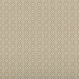 KRAVET DESIGN - ATTRIBUTE GRID- PAPYRUS - Fabric by the Yard