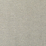 KRAVET COUTURE - TRUTH- PUMICE - Fabric by the Yard