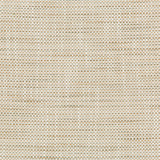 KRAVET DESIGN - KRAVET DESIGN- 36082-161 - Fabric by the Yard