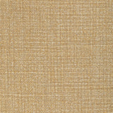 KRAVET COUTURE - VENTURENO- GOLD COAST - Fabric by the Yard