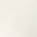 KRAVET DESIGN - KRAVET DESIGN- 36421-1001 - Fabric by the Yard