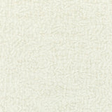 KRAVET COUTURE - KRAVET COUTURE- 36596-101 - Fabric by the Yard