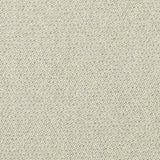 KRAVET COUTURE - KRAVET COUTURE- 36604-116 - Fabric by the Yard