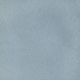 KRAVET DESIGN - EVENING DRIZZLE- SLATE - Fabric by the Yard