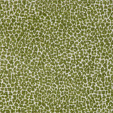 KRAVET DESIGN - KRAVET DESIGN- 36777-3 - Fabric by the Yard