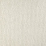 KRAVET DESIGN - UNTAMED- CREAM - Fabric by the Yard