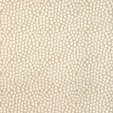 KRAVET DESIGN - STEP ABOVE- CHABLIS - Fabric by the Yard