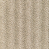 KRAVET DESIGN - KRAVET DESIGN- 37192-612 - Fabric by the Yard