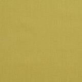 Charlotte - 3890 - Pear - Fabric by the Yard
