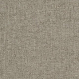 Charlotte - 3911 - Pewter - Fabric by the Yard