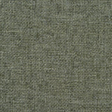 Charlotte - 4001 - Sage - Fabric by the Yard