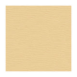 KRAVET BASICS - KRAVET BASICS- 4106-16 - Fabric by the Yard