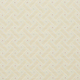 Charlotte - 4135 - Spring Lattice - Fabric by the Yard