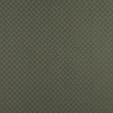 Charlotte - 4353 - Alpine Shell - Fabric by the Yard