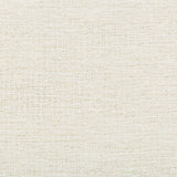 KRAVET COUTURE - QUIESCENT- IVORY - Fabric by the Yard