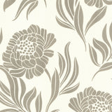 Maxwell - CHATSWORTH (WP) - 4 - Wallcovering by the 11 Yard Roll