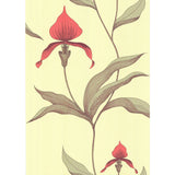 COLE & SON - ORCHID- LIME/OR - Wallcovering by the Roll